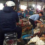 Thực phẩm sạch hay bẩn:  Nhộn nhịp gia cầm không rõ nguồn gốc tại các Chợ
