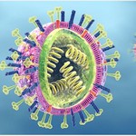  Dinh dưỡng cho bệnh nhân nhiễm Virus cúm