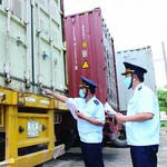 Hải quan Việt Nam tăng cường quản lý các hoạt động xuất nhập khẩu tiền chất