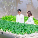 Chương trình học tiên tiến ngành nông, lâm nghiệp tại Việt Nam