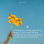 Kết nối yêu thương: Khi bình yên, người ta thường quên lời thề trong giông bão