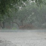 Dự báo thời tiết ngày 19/9: Miền Bắc có mưa rào và đông, đề phòng lốc, sét