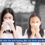 Mưa mù và nồm ẩm: Trạng thái phổ biến ở miền Bắc ảnh hưởng đến cuộc sống và sức khỏe của người dân