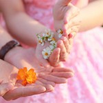 Trạng thái tốt nhất của con người: đơn giản về vật chất, phong phú về tinh thần