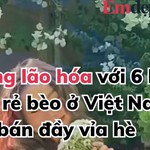 6 loại quả rẻ bèo ở Việt Nam, bán đầy vỉa hè, mua về dùng chẳng mấy mà chống lão hoá cực kỳ hiệu quả