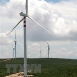 Bộ Công Thương yêu cầu Tập đoàn Điện lực Việt Nam đàm phán với các nhà đầu tư về giá điện gió, điện mặt trời