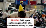 TP.HCM: Cưỡi ngựa nghênh ngang trên phố, nam thanh niên bị xử phạt