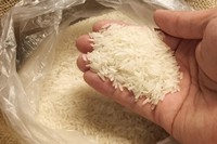Gạo lỡ mua nhiều chỉ cần bảo quản theo cách này, tha hồ để lâu không lo mối mọt