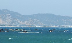 Chấn chỉnh hoạt động đường thủy nội địa ở Ninh Thuận