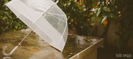 Kết nối yêu thương: Chân thành không đổi được chân tình