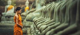 Chỉ cần cúi đầu đúng lúc, biết đâu đời bạn sẽ đổi thay
