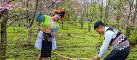 “Mùi rừng”: Khát vọng của người phụ nữ vùng cao