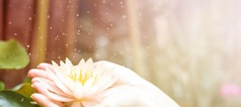 Nhận lỗi về mình là bí quyết giúp gia đình yên ấm