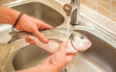 Đây là thời hạn bạn có thể bảo quản cá tươi và cá đã nấu chín trong tủ lạnh